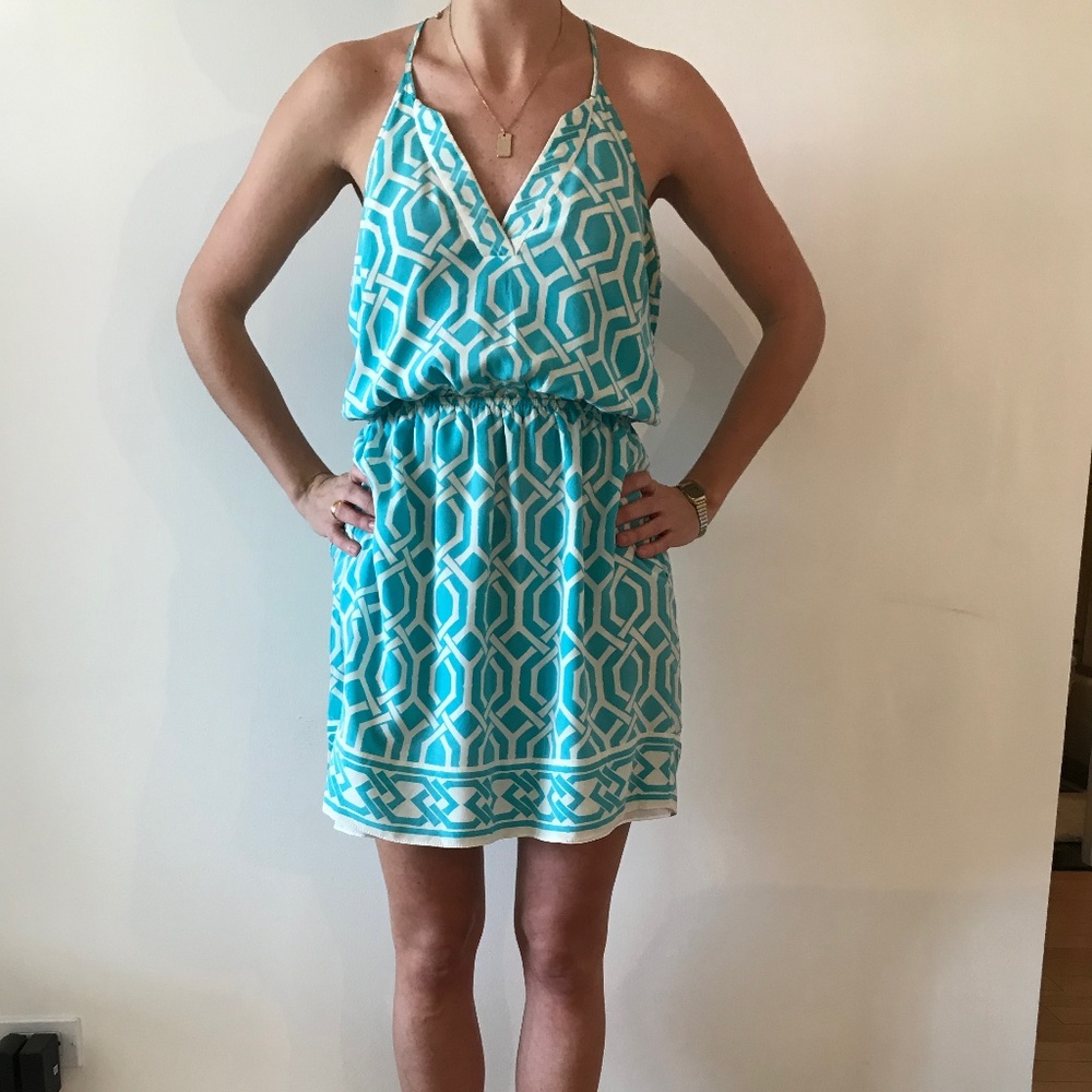 Alice & Trixie Blue and White Dress